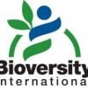 Provision of Cafeteria Services at Alliance Bioversity & CIAT, August 2026